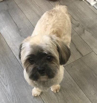 0ACFA525-BC04-426A-98AF-17EA9C471957