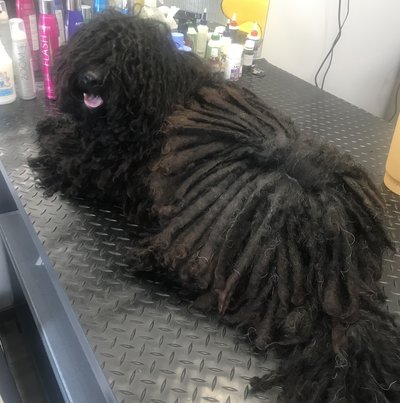 0BAA50EB-68EB-4906-8A9B-FD636F76D569