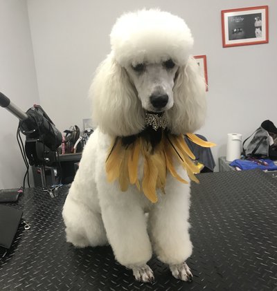 0E35818E-EC32-4CA9-B737-3A074EB1D1B6