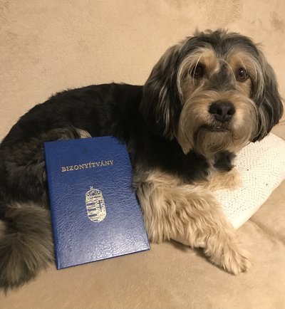 0E4797E0-0265-468C-AD3A-A0D2F5CA3588