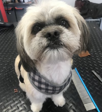 169C195A-CD73-4F6C-AE78-A8F6A04C2B44