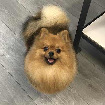 20E73BBD-600C-47A9-8FB2-E5E687EEB819