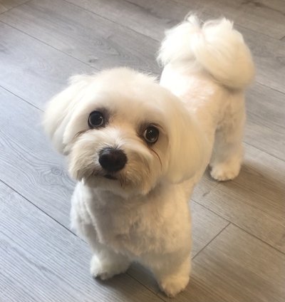 25189D5A-1CAB-4D9A-8EEF-CA42585132A2