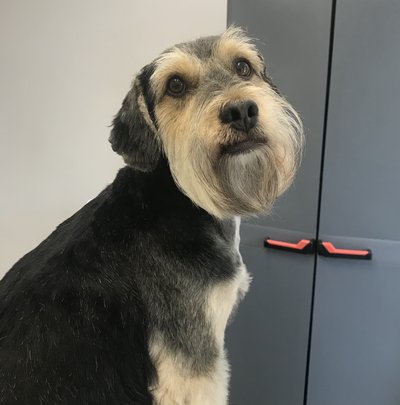 2C4D53E5-FAF8-4BCA-A822-62BEBE22793C