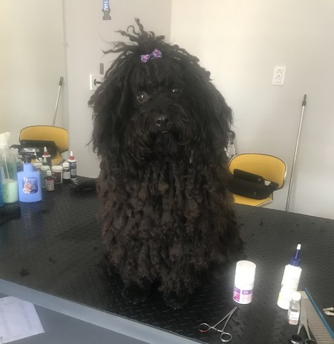 3788C151-1813-46A2-8E9D-BBDB66390251