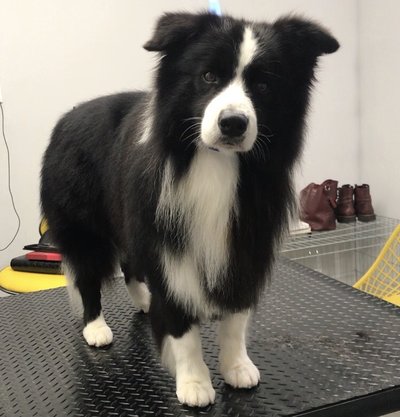 5310DCAE-311C-4161-A1C5-2B4F6D9BABB2