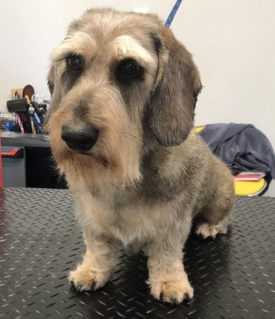 58E59C3E-EE50-4DFC-B3ED-AE728E23BBC0