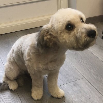 77E60C83-7B1C-444F-B5BD-50BC2A4ED448