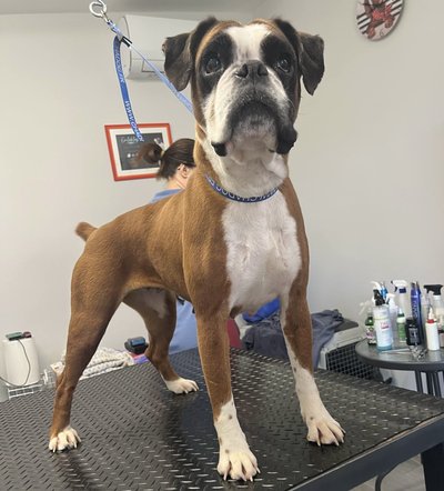 ACE5489B-F3FC-4BCB-B6CA-6641900CCDFF