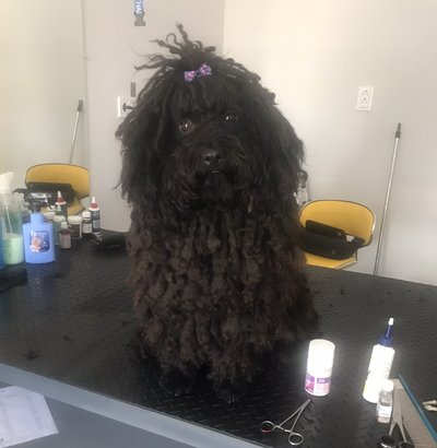 BEF77B67-9298-4976-88DD-E96D54639873