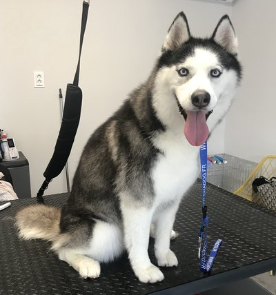 C8E46134-7186-46C2-BABD-6DD99CE61A94