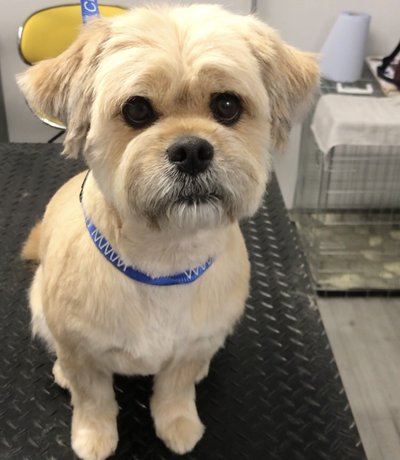 CFEF9BA6-E5F7-4E25-B4A7-C292F1F6AD91