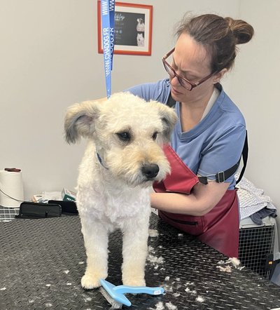 F454328E-3761-433C-8693-3BB196CA4851