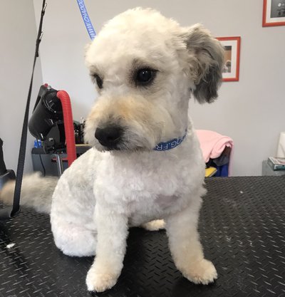 F7177ED0-40DE-4EA8-A170-1E3BE8DA1749