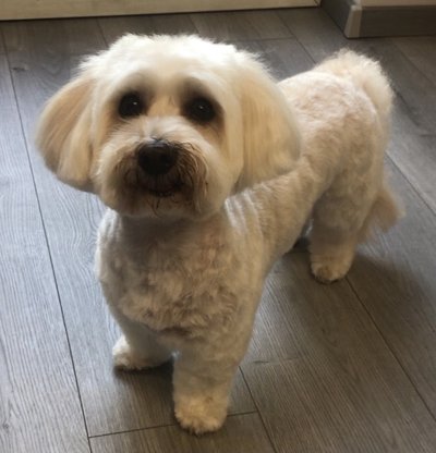 F7E758B0-2D65-4371-AB3F-4226807A5D45